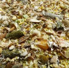 علف الأغنام